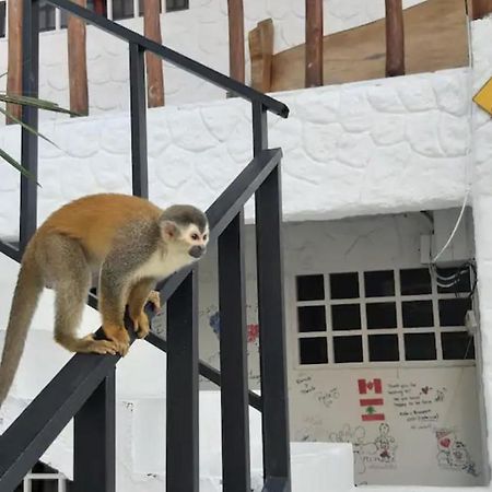 Mizaru Ocean View Hotel Manuel Antonio 케포스 외부 사진
