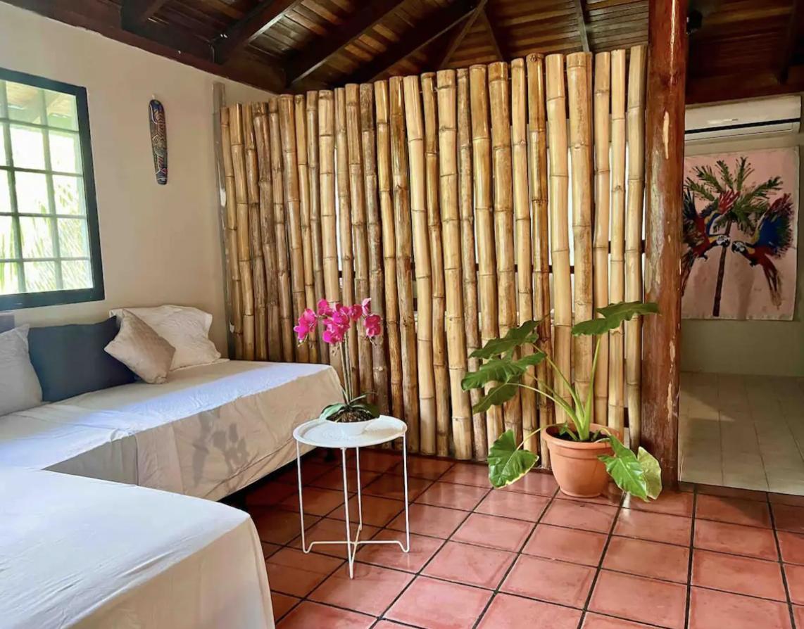 Mizaru Ocean View Hotel Manuel Antonio 케포스 외부 사진