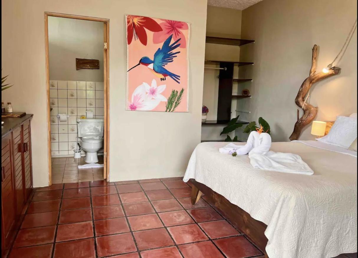 Mizaru Ocean View Hotel Manuel Antonio 케포스 외부 사진